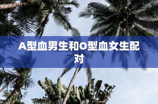 A型血男生和O型血女生配对
