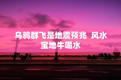 乌鸦群飞是地震预兆 风水宝地牛喝水