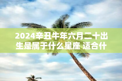 2025辛丑牛年六月二十出生是属于什么星座 适合什么职业