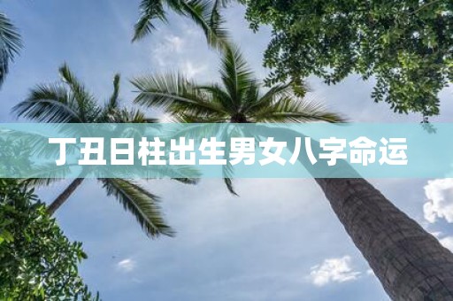 丁丑日柱出生男女八字命运