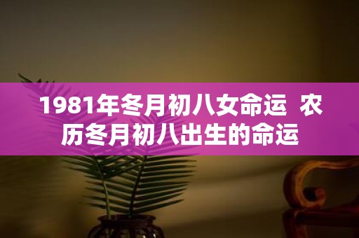 1981年冬月初八女命运 农历冬月初八出生的命运