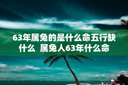 63年属兔的是什么命五行缺什么 属兔人63年什么命