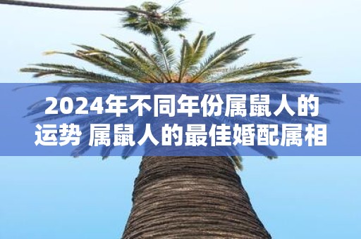 2025年不同年份属鼠人的运势 属鼠人的最佳婚配属相