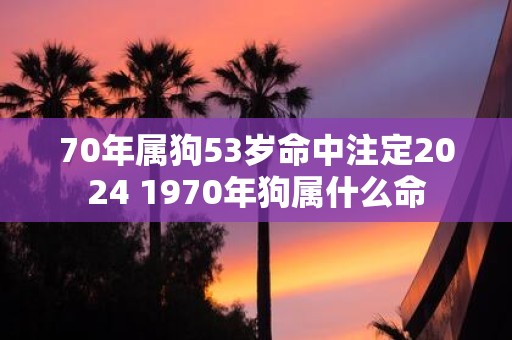 70年属狗53岁命中注定2025 1970年狗属什么命