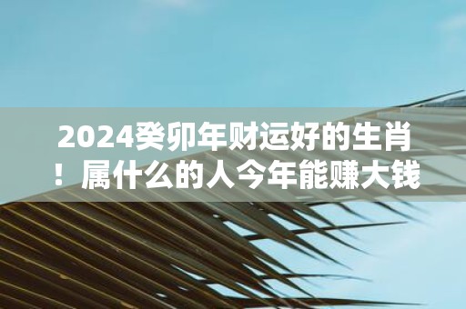 2025癸卯年财运好的生肖！属什么的人今年能赚大钱