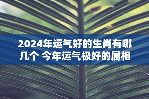 2025年运气好的生肖有哪几个 今年运气极好的属相