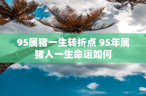 95属猪一生转折点 95年属猪人一生命运如何