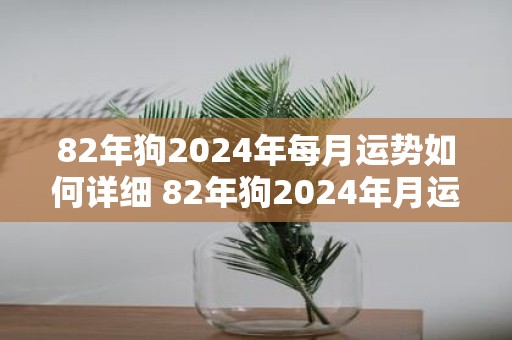 82年狗2025年每月运势如何详细 82年狗2025年月运详解如何