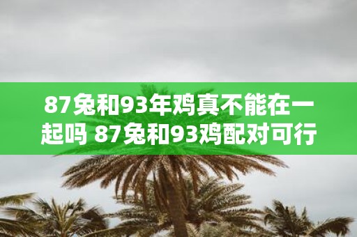 87兔和93年鸡真不能在一起吗 87兔和93鸡配对可行吗