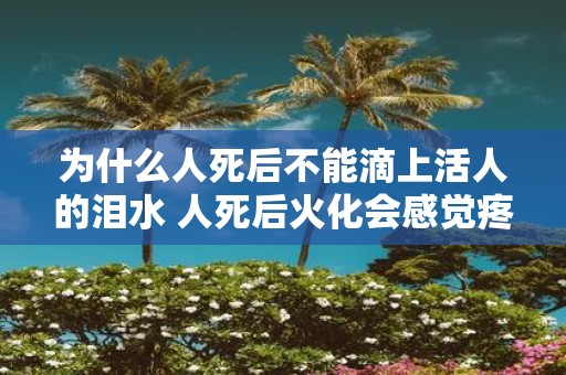 为什么人死后不能滴上活人的泪水 人死后火化会感觉疼吗