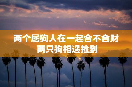 两个属狗人在一起合不合财 两只狗相遇捡到