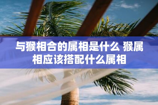 与猴相合的属相是什么 猴属相应该搭配什么属相
