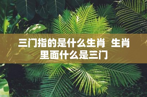 三门指的是什么生肖 生肖里面什么是三门