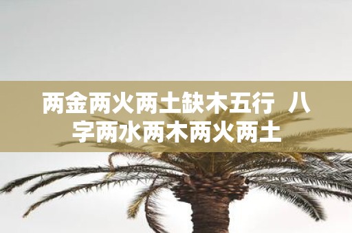 两金两火两土缺木五行 八字两水两木两火两土