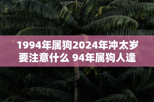 1994年属狗2025年冲太岁要注意什么 94年属狗人逢蛇年运气如何
