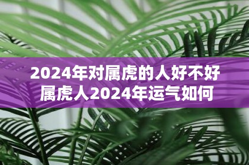 2025年对属虎的人好不好 属虎人2025年运气如何