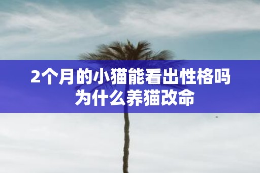 2个月的小猫能看出性格吗 为什么养猫改命