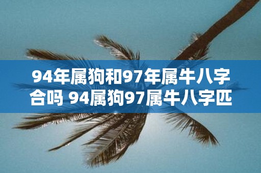 94年属狗和97年属牛八字合吗 94属狗97属牛八字匹配吗