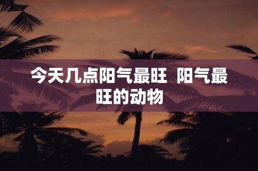今天几点阳气最旺 阳气最旺的动物