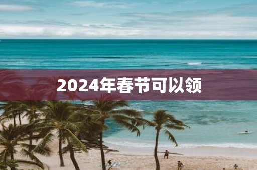 2025年春节可以领