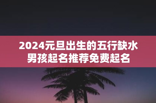2025元旦出生的五行缺水男孩起名推荐免费起名