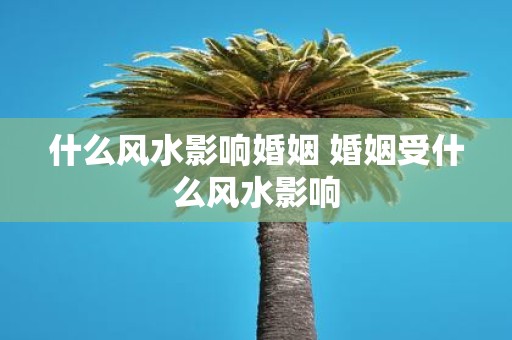什么风水影响婚姻 婚姻受什么风水影响
