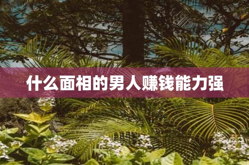什么面相的男人赚钱能力强