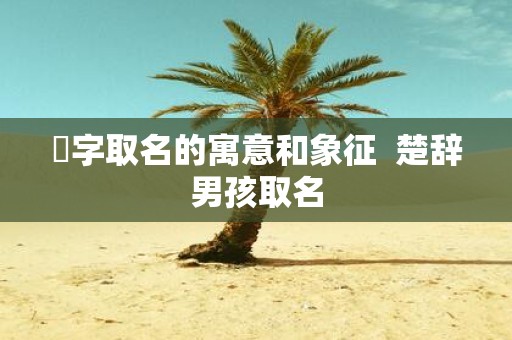 乂字取名的寓意和象征 楚辞男孩取名