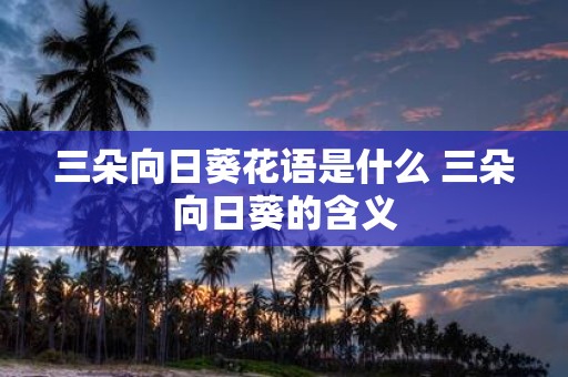 三朵向日葵花语是什么 三朵向日葵的含义