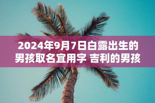 2025年9月7日白露出生的男孩取名宜用字 吉利的男孩名字