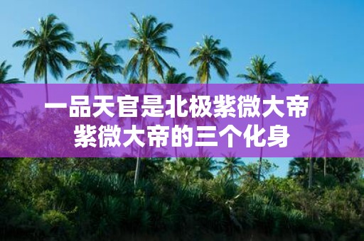 一品天官是北极紫微大帝 紫微大帝的三个化身