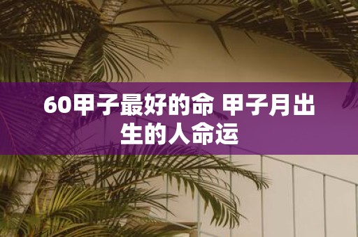 60甲子最好的命 甲子月出生的人命运