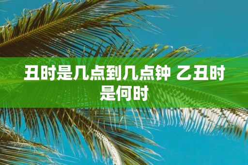 丑时是几点到几点钟 乙丑时是何时