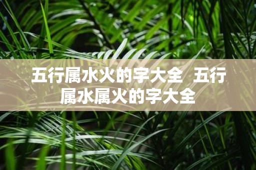 五行属水火的字大全 五行属水属火的字大全