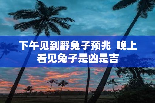 下午见到野兔子预兆 晚上看见兔子是凶是吉