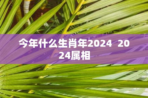 今年什么生肖年2025 2025属相