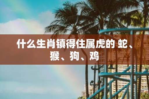 什么生肖镇得住属虎的 蛇、猴、狗、鸡