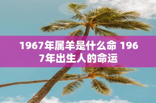 1967年属羊是什么命 1967年出生人的命运