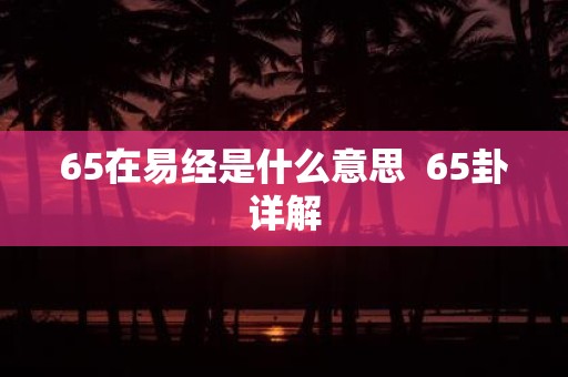 65在易经是什么意思 65卦详解