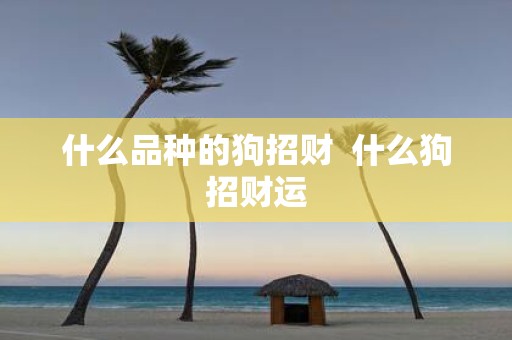 什么品种的狗招财 什么狗招财运