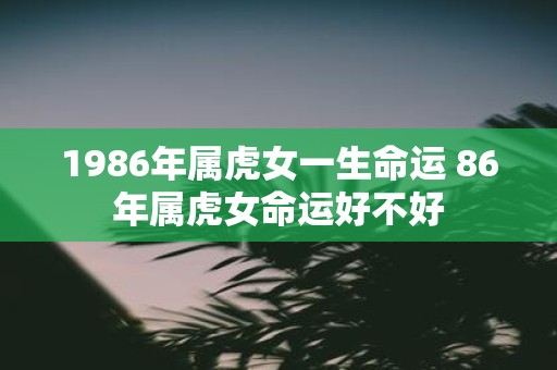 1986年属虎女一生命运 86年属虎女命运好不好