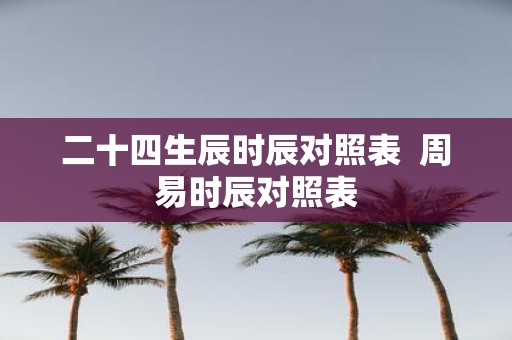 二十四生辰时辰对照表 周易时辰对照表