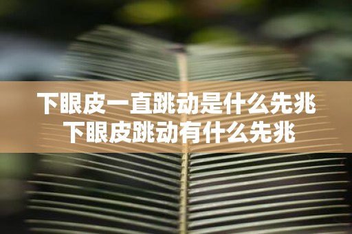 下眼皮一直跳动是什么先兆 下眼皮跳动有什么先兆