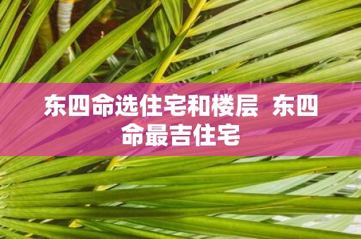 东四命选住宅和楼层 东四命最吉住宅