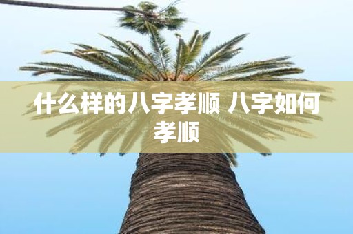 什么样的八字孝顺 八字如何孝顺