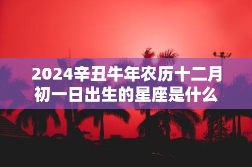 2025辛丑牛年农历十二月初一日出生的星座是什么