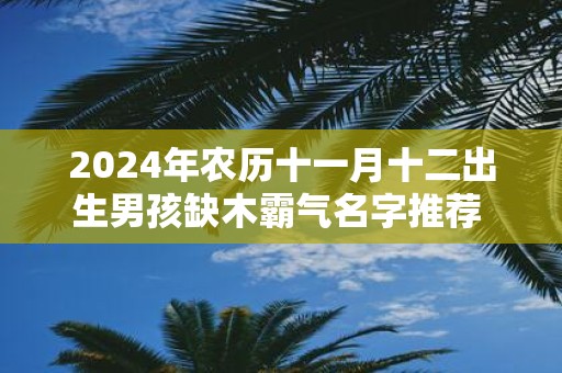 2025年农历十一月十二出生男孩缺木霸气名字推荐 带木有寓意起名用字