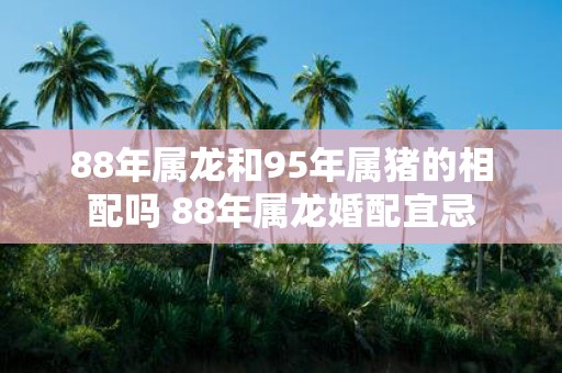 88年属龙和95年属猪的相配吗 88年属龙婚配宜忌