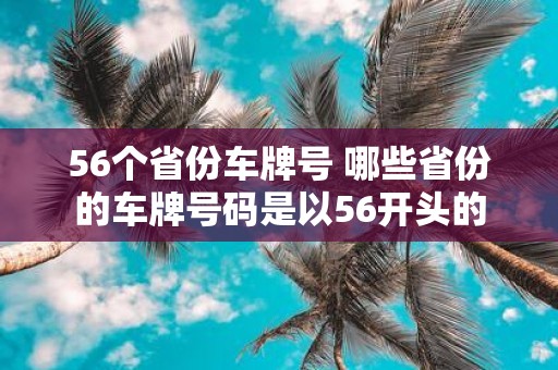 56个省份车牌号 哪些省份的车牌号码是以56开头的