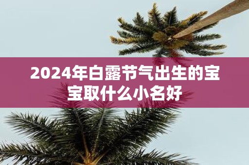 2025年白露节气出生的宝宝取什么小名好